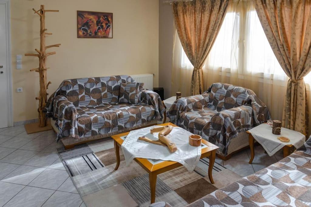 Dimitri'S Mountain House Apartment Karpenisi Luaran gambar