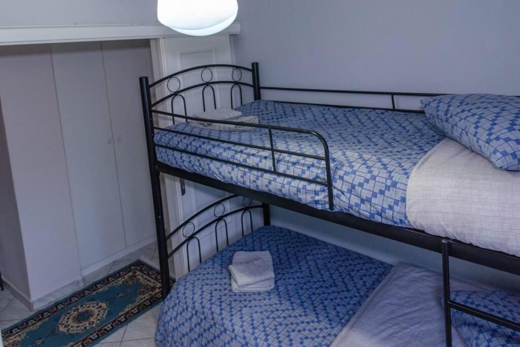 Dimitri'S Mountain House Apartment Karpenisi Luaran gambar
