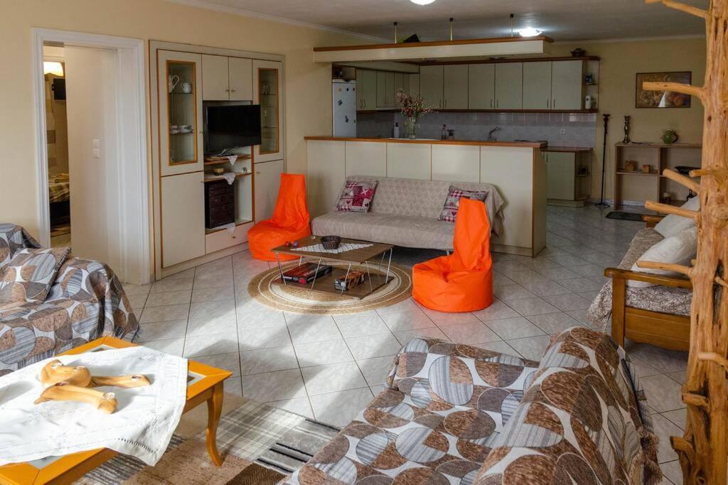 Dimitri'S Mountain House Apartment Karpenisi Luaran gambar