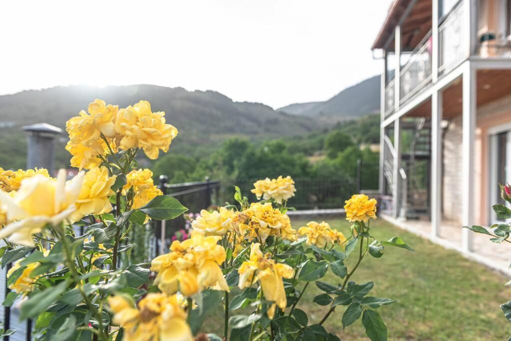 Dimitri'S Mountain House Apartment Karpenisi Luaran gambar
