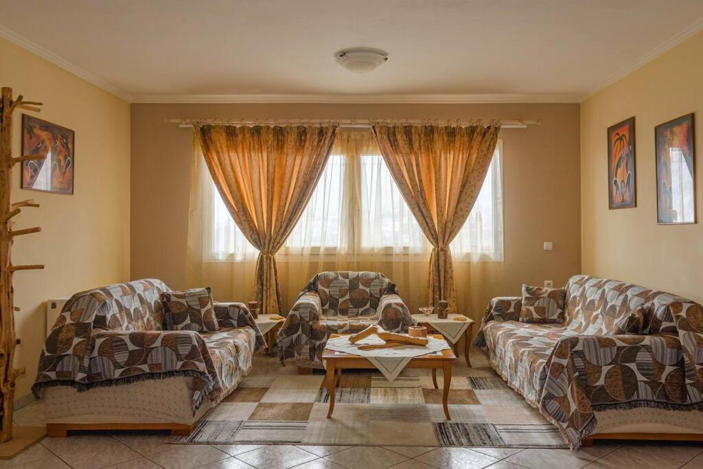 Dimitri'S Mountain House Apartment Karpenisi Luaran gambar
