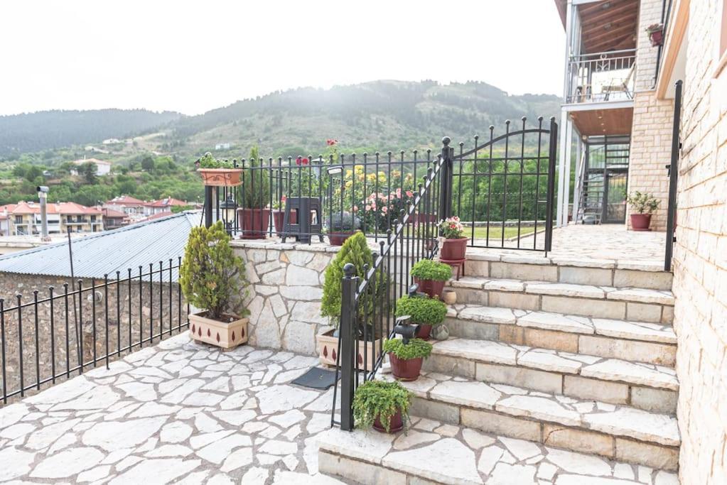 Dimitri'S Mountain House Apartment Karpenisi Luaran gambar